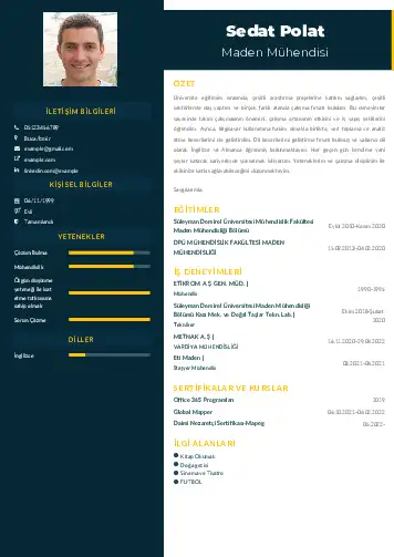 Maden Mühendisi Cv Örnekleri cv indir